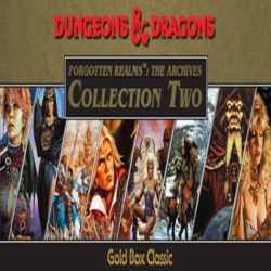 Forgotten Realms: The Archives - Collection Two Steam ключ
