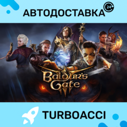 BALDUR'S GATE 3 ・STEAM・АВТО・ОФЛАЙН