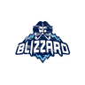 Blizzard Gift Card Канада 100 CAD | CA регион | Мгновенно