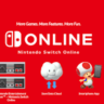 Nintendo Switch Individual Швейцария 3M | CH код | Мгновенно