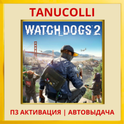 ☀️ Watch Dogs 2 (PS4/RU) П3 - Активация