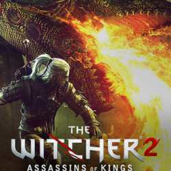 The Witcher 2: Assassins of King EE / GOG Key / GLOBAL