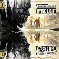 Dying Light: Enhanced Edition (Epic Аккаунт  Почта/RoW)
