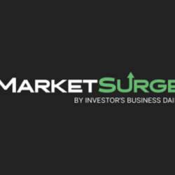 MarketSurge | MarketSmith | MSTool Подписка 1 месяц