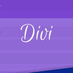DIVI BOOSTER - оптимизатор DIVI BUILDER для WORDPRESS