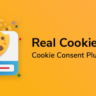 REAL COOKIE BANNER - ПЛАГИН COOKIE ДЛЯ WORDPRESS