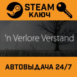 'n Verlore Verstand STEAM РФ,др.страны подарок