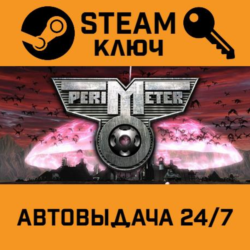 Perimeter STEAM РФ,др.страны подарок