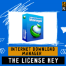 Internet Download Manager Windows 1 год \ бессрочно