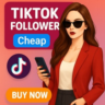 TikTok | Подписчики | Лайки | Просмотры | Без подписчик