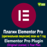 Плагин Elementor Pro (оригинальная лицензия) 1-летний