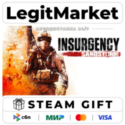 Insurgency: Sandstorm / Steam АВТО / РУ   МИР