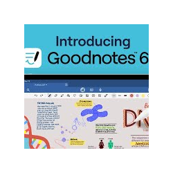 Goodnotes 6 PRO 1 ГОД iPhone ios AppStore iPad
