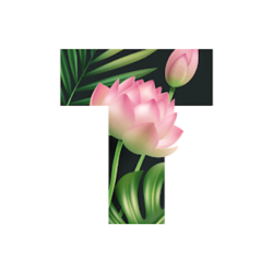 Текст Стильные шрифты Арт-история PRO 1 ГОД iPhone ios