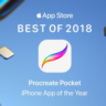 Procreate Pocket iPhone ios Appstore