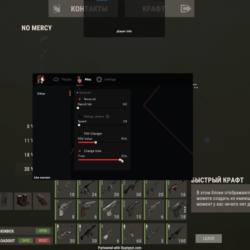 Рабочий чит Doza Lite для игры RUST