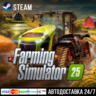 Farming Simulator 25 СТИМ Steam Gift