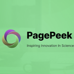 Pagepeek ai Starter/Premium подписка 1 месяц
