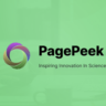 Pagepeek ai Starter/Premium подписка 1 месяц