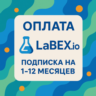 LABEX ПОДПИСКА - 12 МЕСЯЦЕВ | LABEX.IO