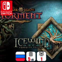 Planescape: Torment And Icewind Dale | Nintendo Switch 1/2