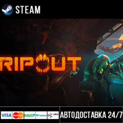 RIPOUT СТИМ Steam Gift