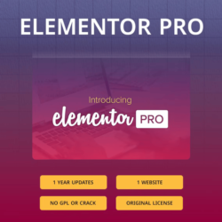 Официальная лицензия плагина Elementor Pro на 1 год