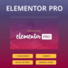 Официальная лицензия плагина Elementor Pro на 1 год