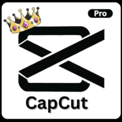 Общий аккаунт CapCut Pro на 1 месяц