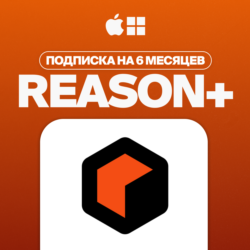 REASON  [6 МЕСЯЦЕВ] | НА ВАШ АККАУНТ