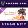 Guild Wars 2: Visions of Eternity™ Expansion DLC