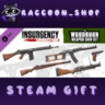Insurgency: Sandstorm - Woodburn Weapon Skin Set DLC