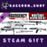 Insurgency: Sandstorm - Whiteout Weapon Skin Set DLC