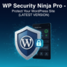 Security Ninja PRO Плагин WordPress v5.258