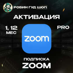 ZOOM PRO ПОДПИСКА 12 МЕСЯЦЕВ / РФ МИР 100% ГАРАНТИЯ