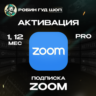 ZOOM PRO ПОДПИСКА 12 МЕСЯЦЕВ / РФ МИР 100% ГАРАНТИЯ