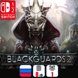 Blackguards 2 | Nintendo Switch 1/2