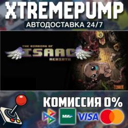 The Binding of Isaac: Rebirth STEAM АВТО 24/7
