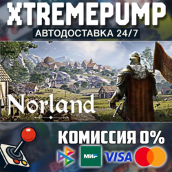 Norland STEAM АВТО 24/7