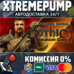 Gothic 3: Forsaken Gods Enhanced Edition STEAM АВТО 24/