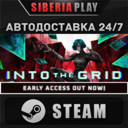 Into The Grid STEAM АВТОДОСТАВКА RU/KZ/UA/СНГ
