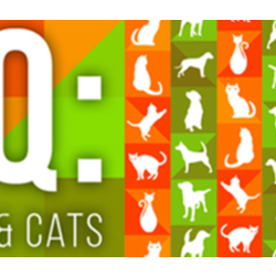 JQ: dogs & cats (STEAM KEY/REGION FREE)