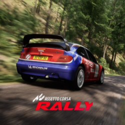 Assetto Corsa Rally (Аренда аккаунта Steam) Онлайн
