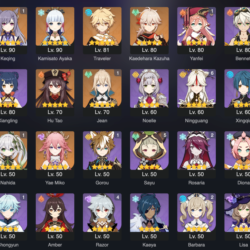 [2in1] GENSHIN IMPACT   Honkai: Star Rail / 55 AR