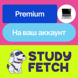 Study Fetch Premium | Месяц, год | На ваш аккаунт