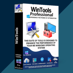 Ключ WinTools.net Professional 2026 (пожизненный /1ПК)
