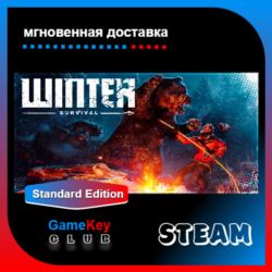Winter Survival   Игры | Steam | Оффлайн | Region Free