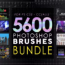 5600 Photoshop Brushes Mega Bundle