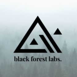 Black Forest Labs | BFL AI / КРЕДИТЫ