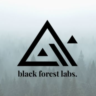 Black Forest Labs | BFL AI / КРЕДИТЫ